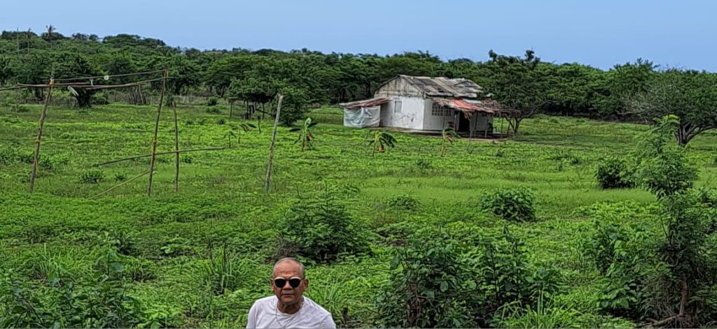 En el fondo aparece la vivienda construida por Eddy Marina Aguacha de López. Aquí están las 12,5 hectáreas (tierra despojada) que colinda entre la carretera Vía al Mar y el Mar Caribe./VoxPopuli.Digital.