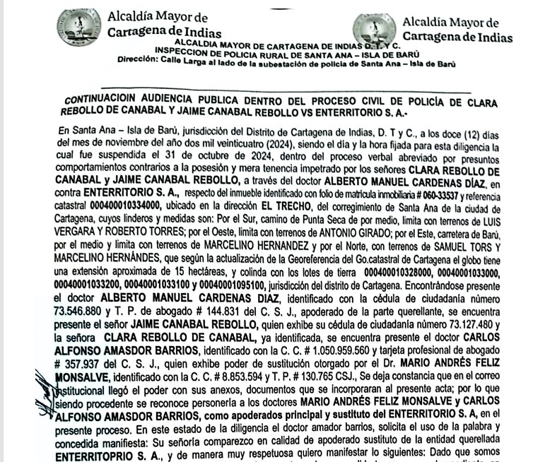 Captura de pantalla del acta de la audiencia pública donde se le permitió a Clara Revollo poner un parqueadero en su propia parcela.