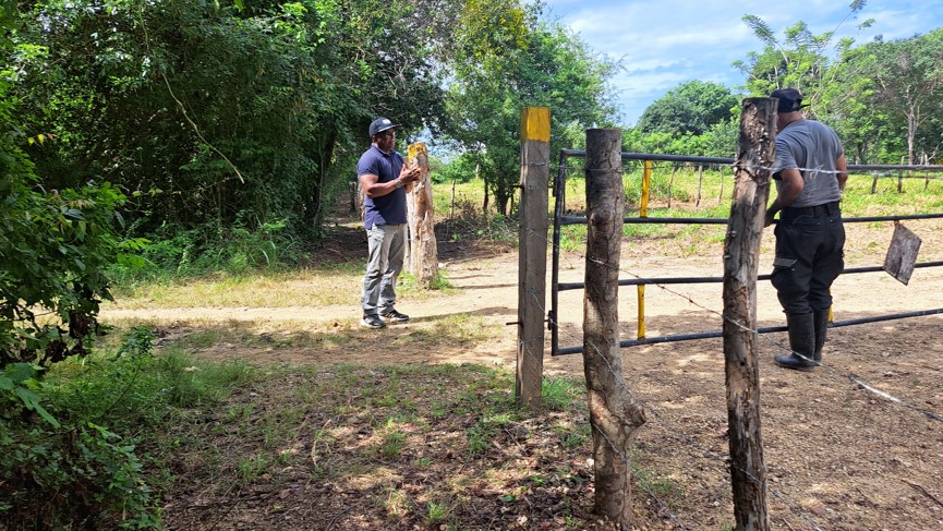 Valorem y ENTerritorio parecieran que estuviesen unidas, porque tienen a los mismos vigilantes de sus predios que colindan con los de Clara Rebollo.